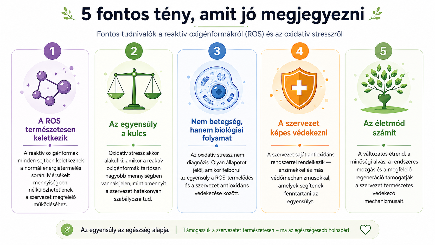 5 tény az oxidatív stresszről